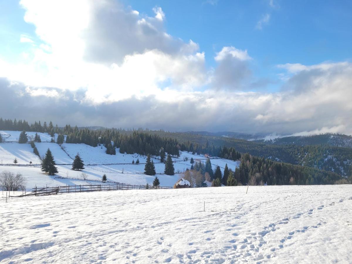 Casuta De Vacanta Marisel, Cluj Bagian luar foto