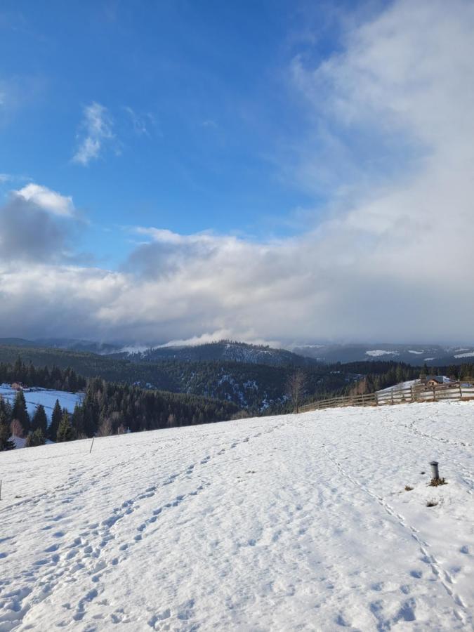 Casuta De Vacanta Marisel, Cluj Bagian luar foto