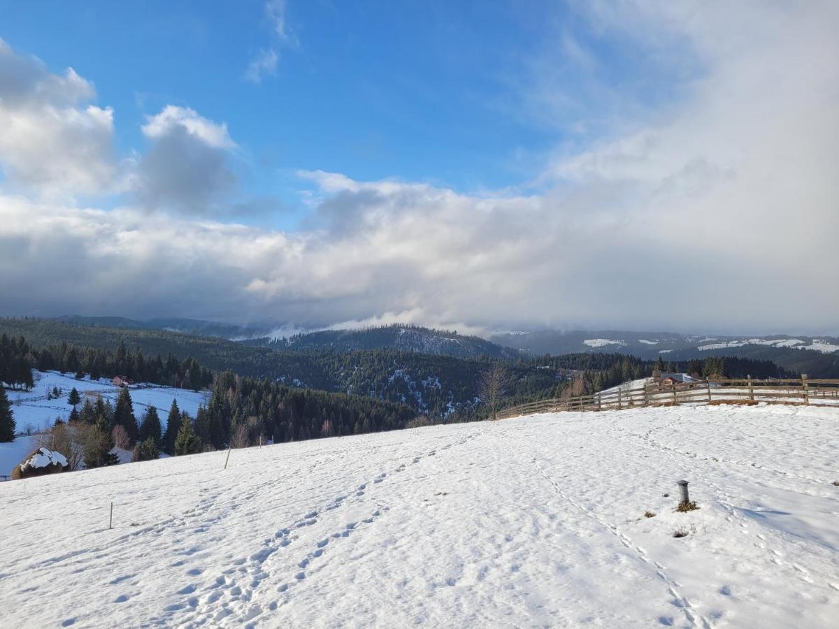 Casuta De Vacanta Marisel, Cluj Bagian luar foto